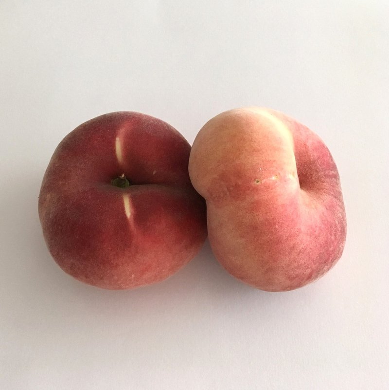 桃の品種紹介 0 桃の種類について 手しごとと想像力 Tsumori Note