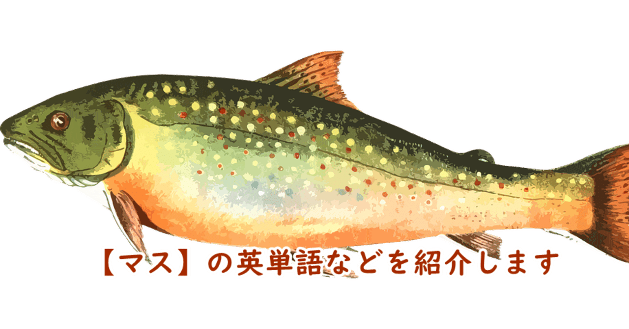 鱒 の新着タグ記事一覧 Note つくる つながる とどける