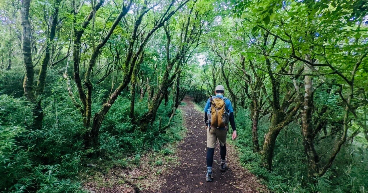 On Mountain Day | Starting from a single drop of water, what I