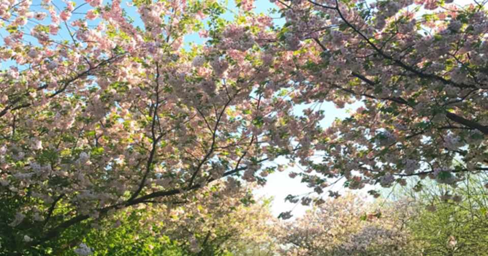 元駐妻 時短正社員として再就職の道のり みなぞう Note