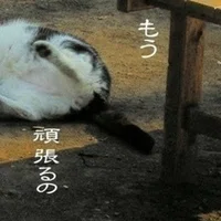 霞ヶ関官僚 国家公務員のブログまとめ 霞いちか 霞が関の国家公務員 Note