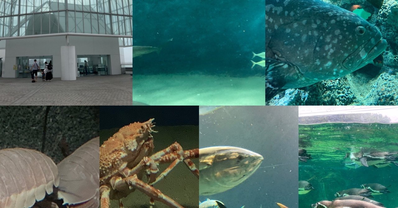 葛西臨海水族園が再開 野猿 やえん Note