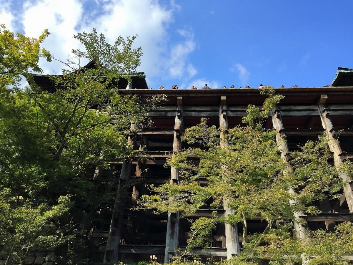 画像7