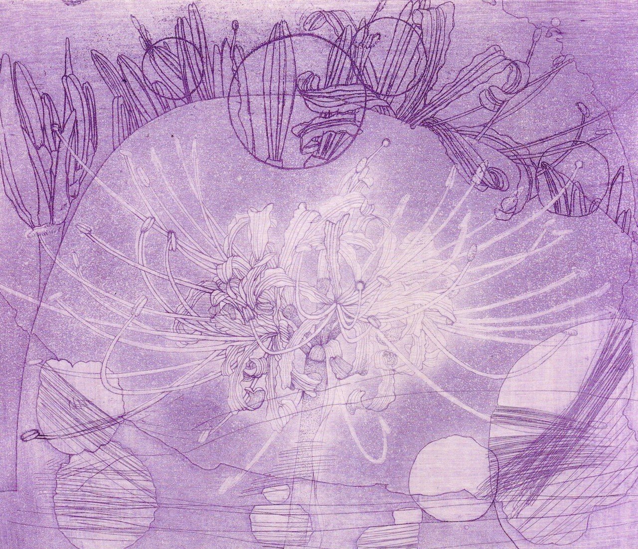 「光の花」銅版画紫 Web用作品画像用