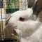 そんたく