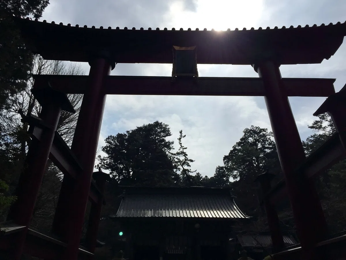画像11