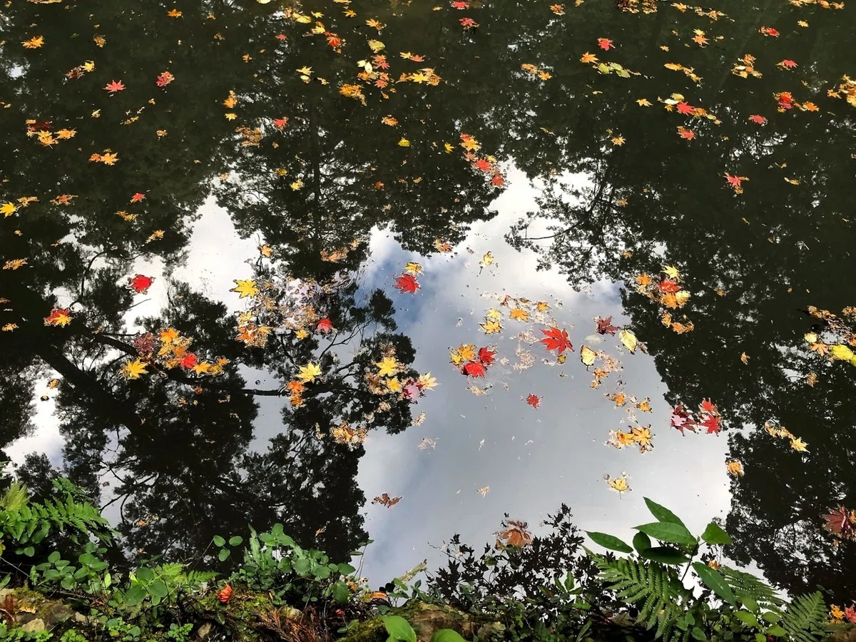 画像15