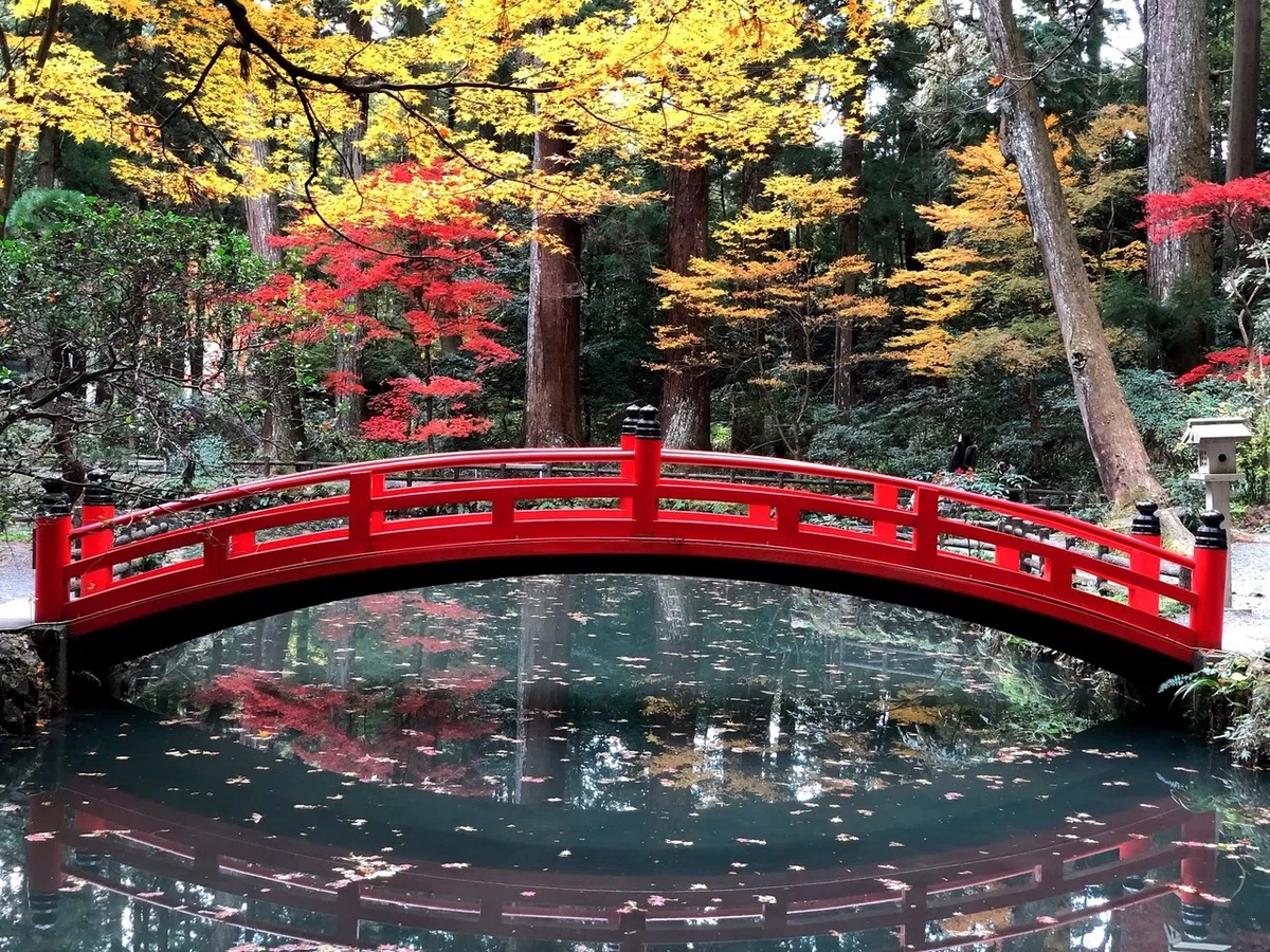 画像16