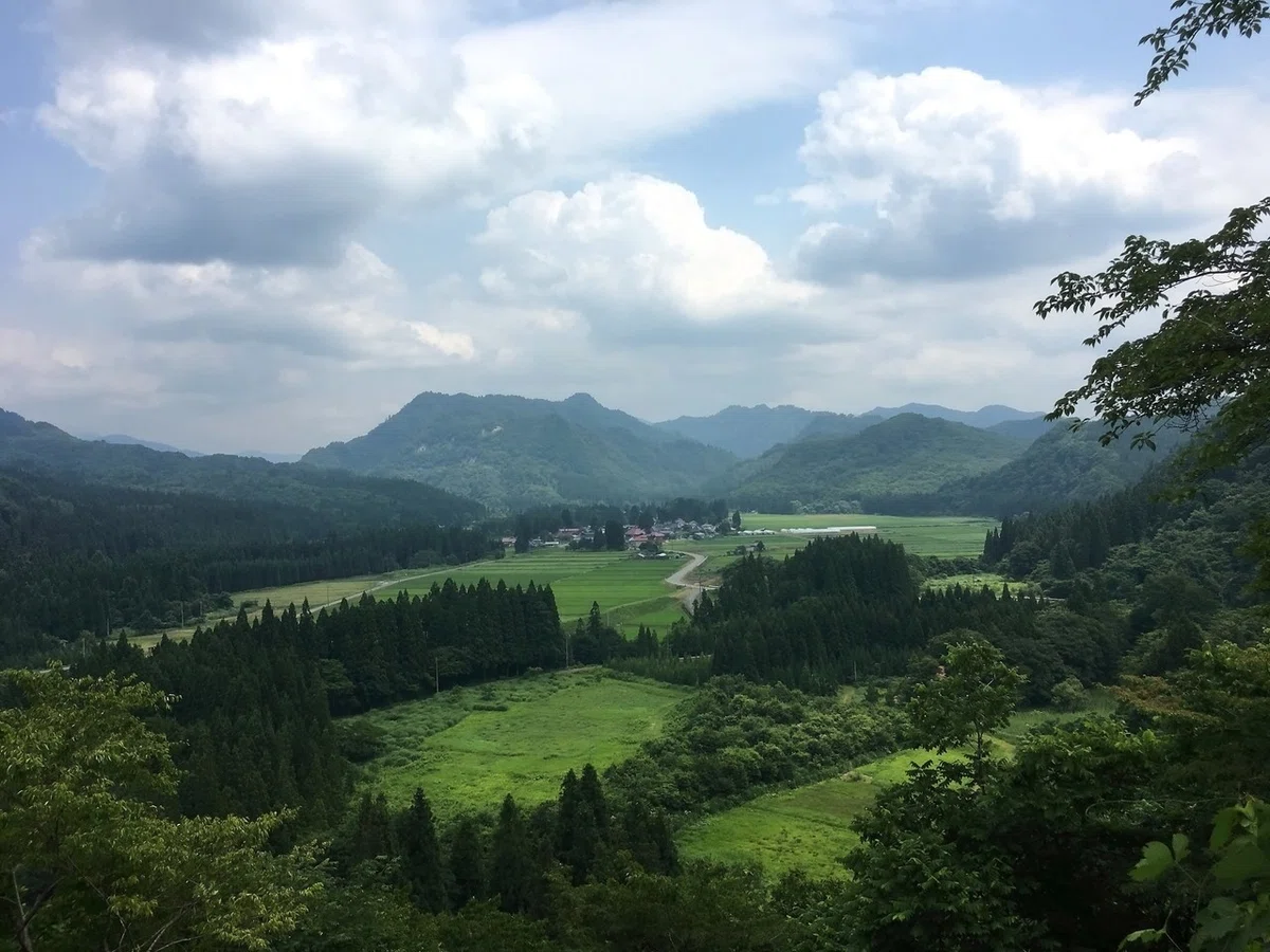 画像35