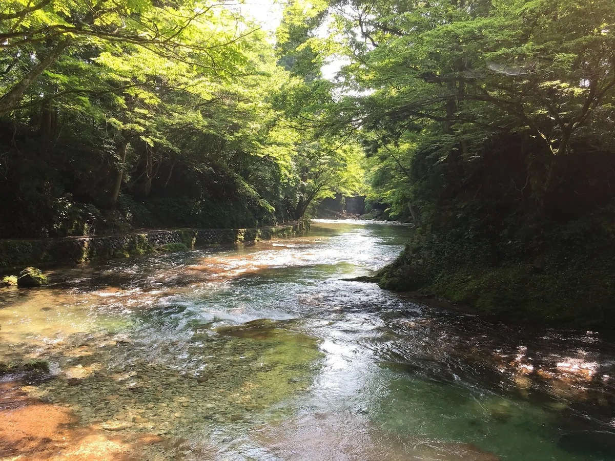 画像38