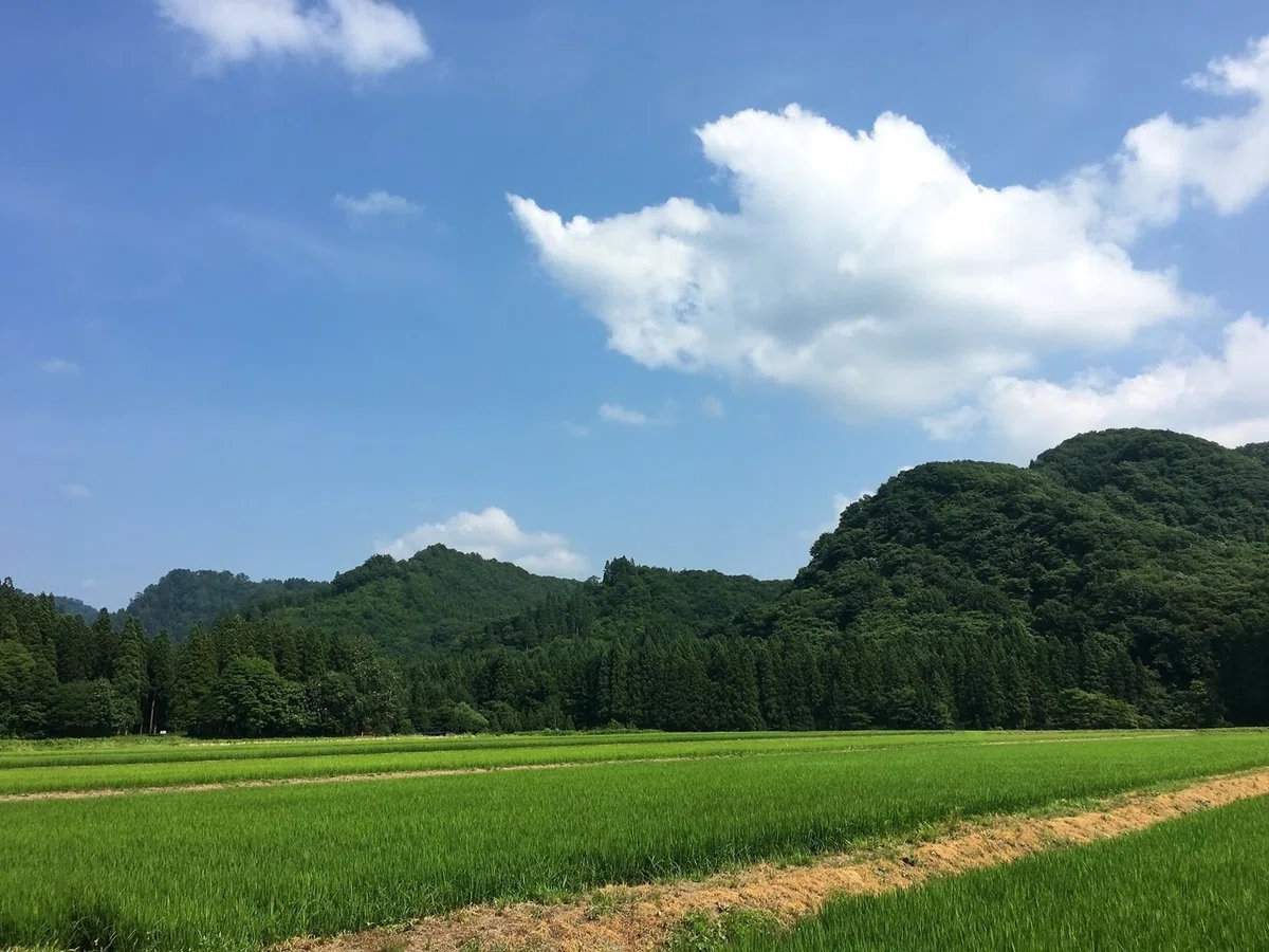 画像39
