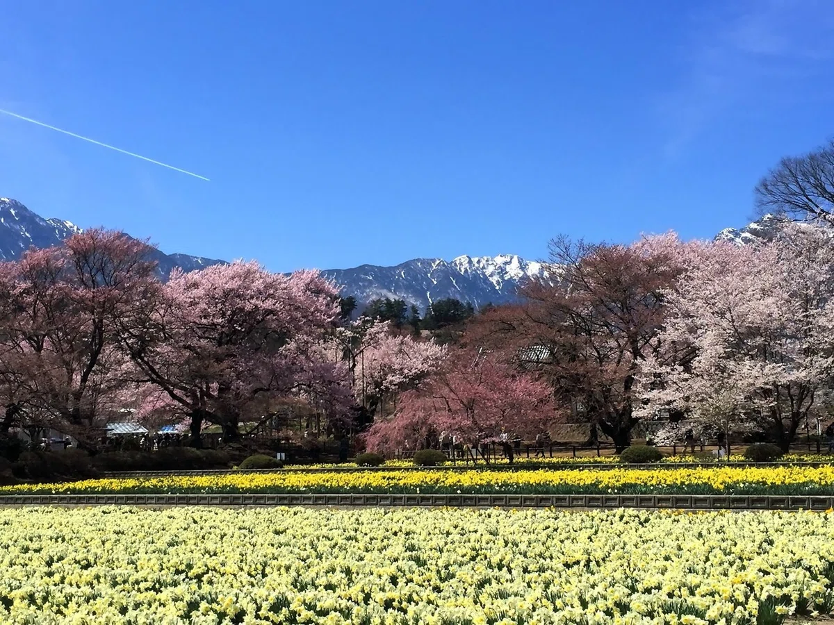 画像41
