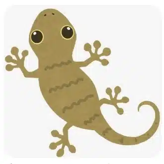 もりお