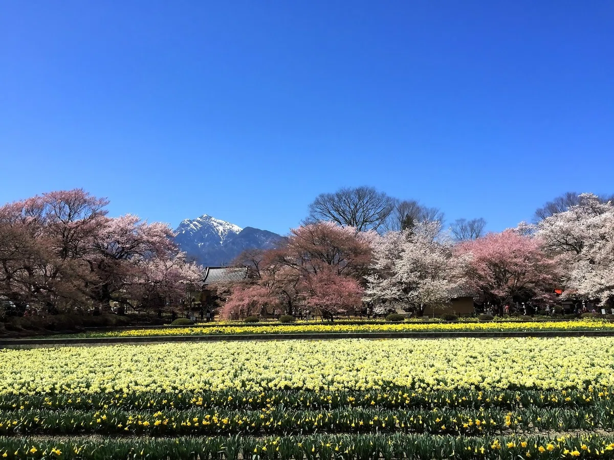 画像42