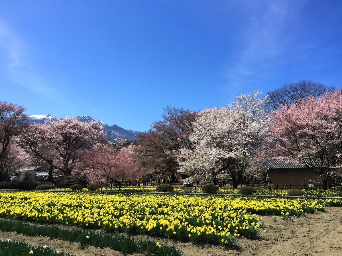 画像43