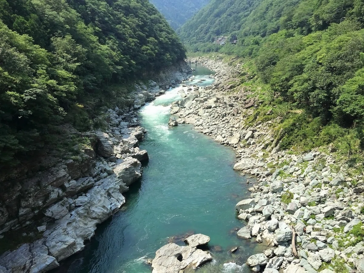画像44