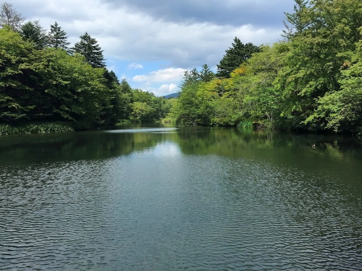 画像49