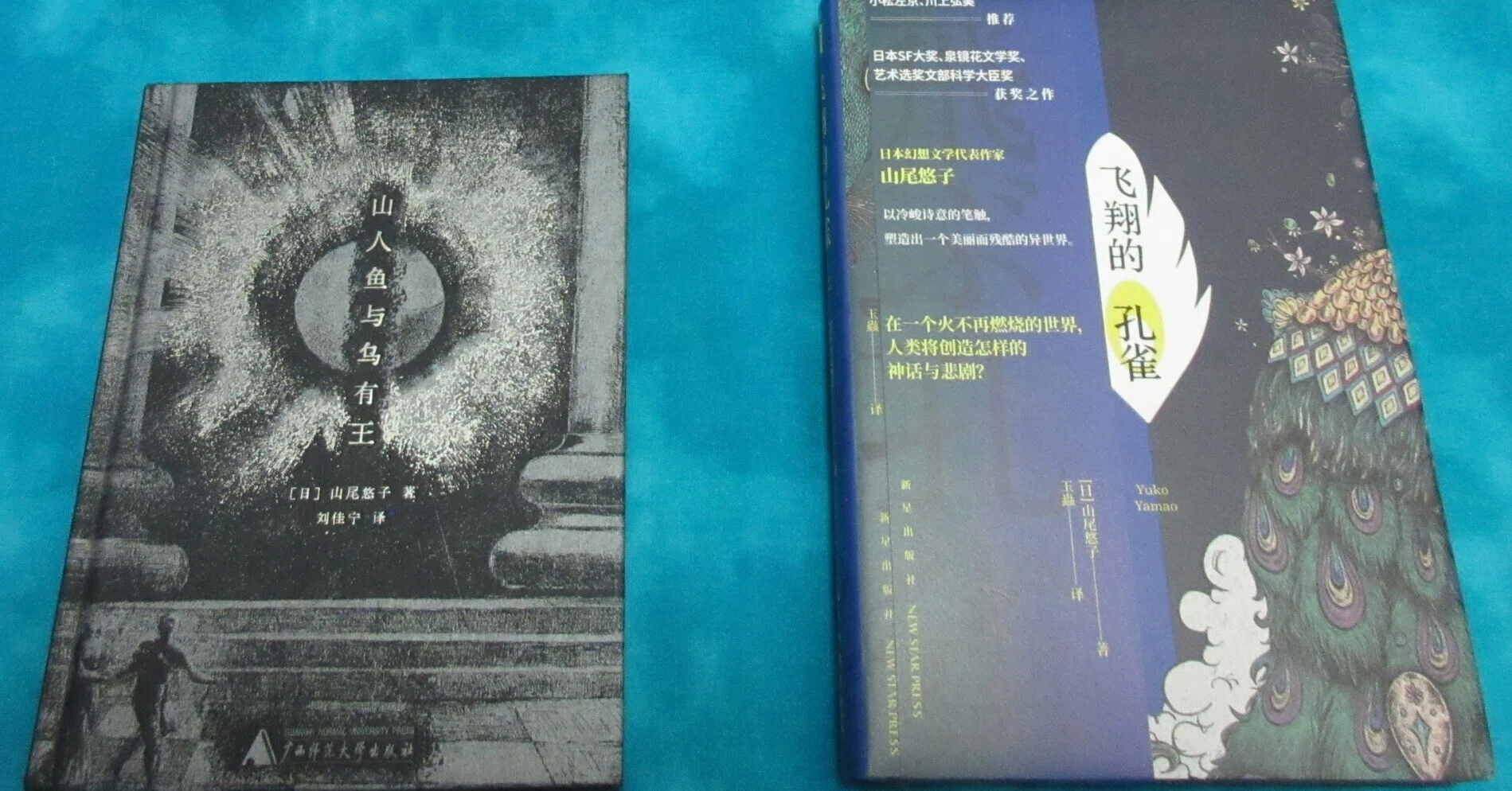 山尾悠子作品の外国語訳情報まとめ(2026年版)｜文芸誌『jem』