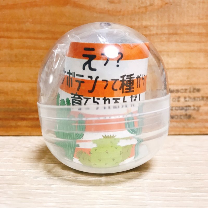サボテンをタネから育ててみた 1 きな Note サボテンをタネから育ててみた 1 きな Note