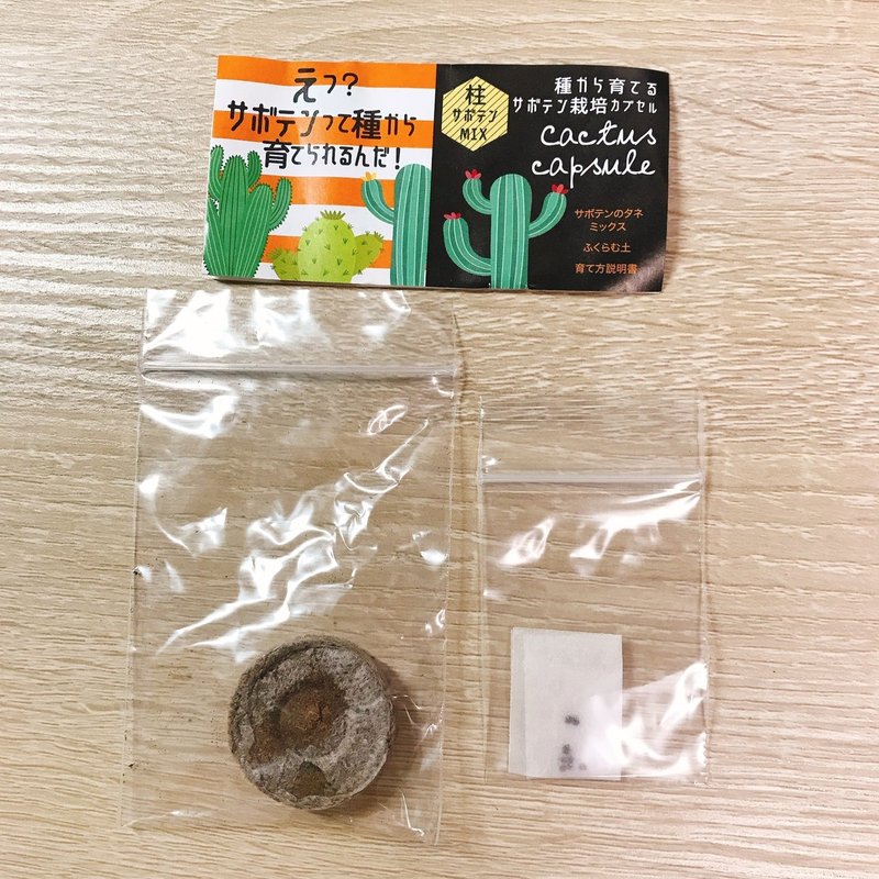 サボテンをタネから育ててみた 1 きな Note サボテンをタネから育ててみた 1 きな Note