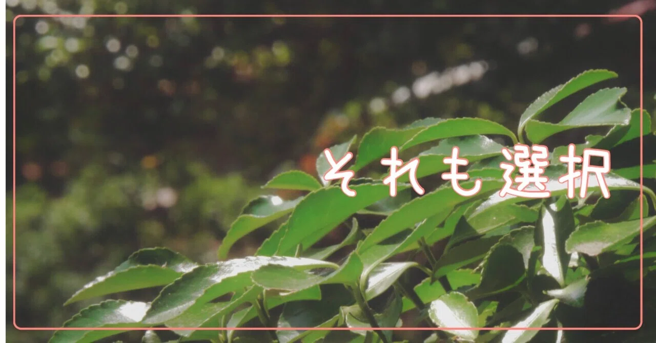 見出し画像