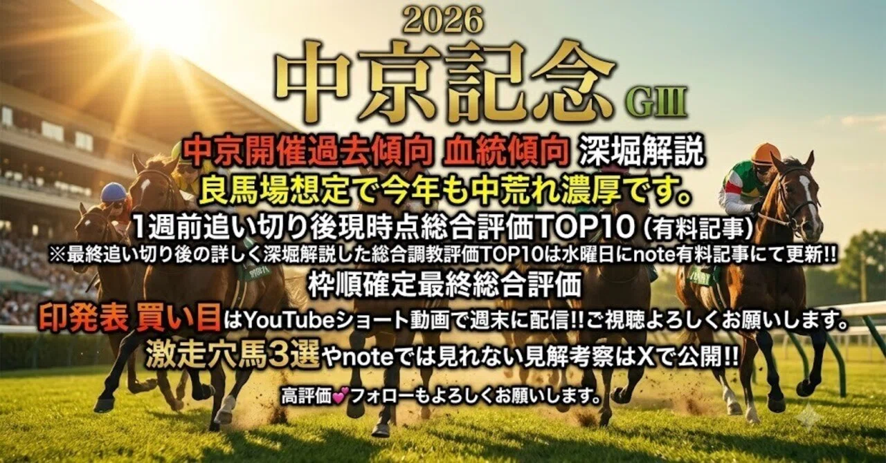 中京 記念 過去