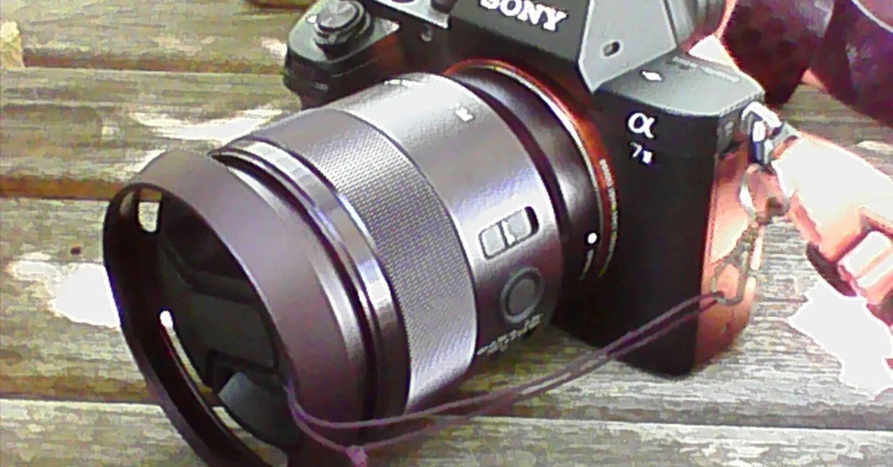 3台目のミラーレスカメラ: SONY α7II｜MITSUDA Tetsuo