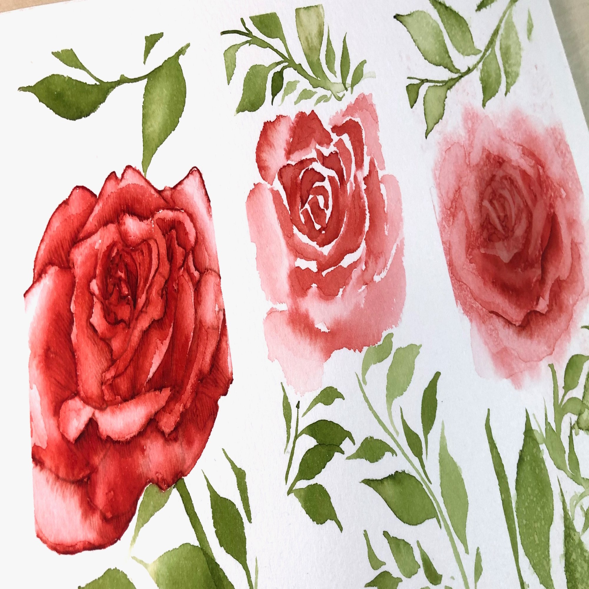 5分間インク水彩［3種類のゆるいバラの描き方］※オープン記念拡大版