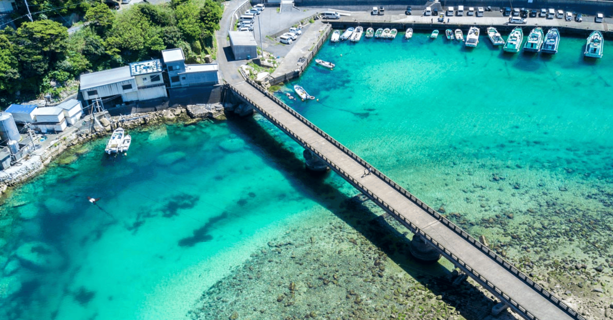 高知県の魅力を伝えたい その２ 美し過ぎる海 柏島 いえやす Note