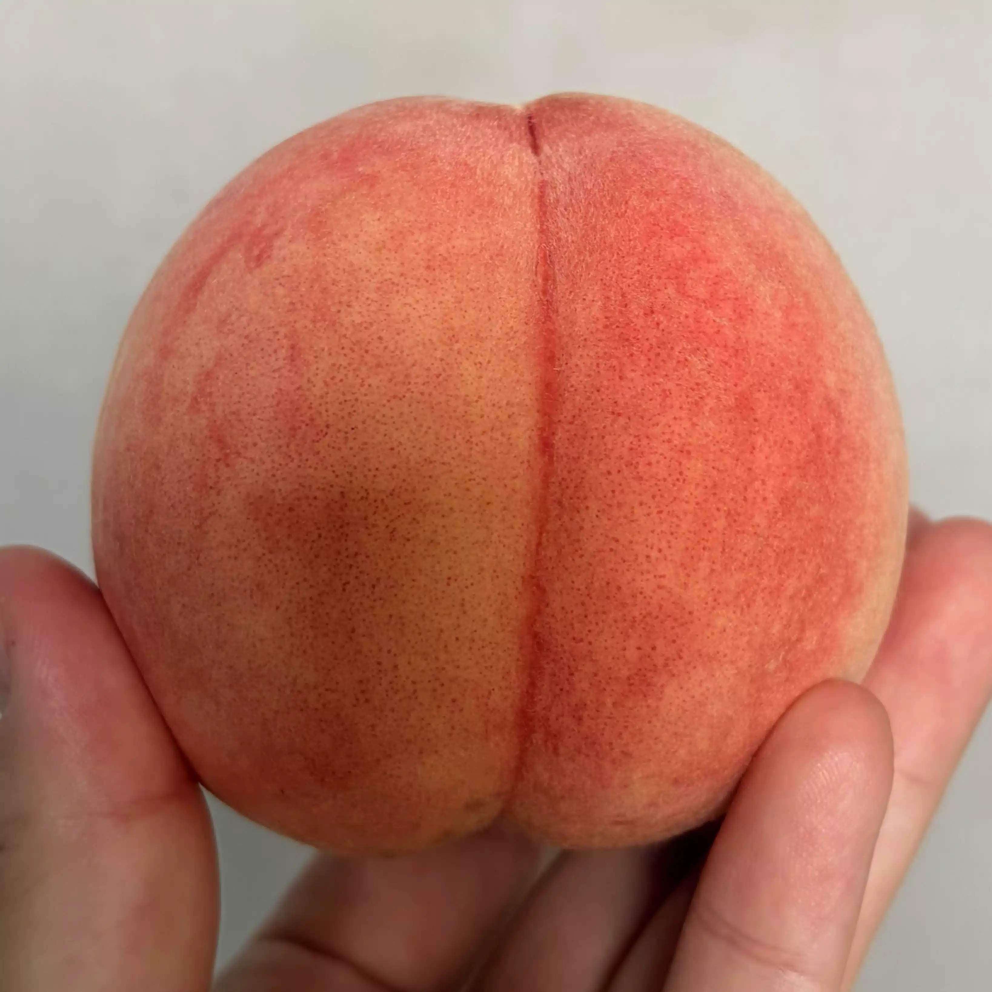 momonoha🍑🌱東欧人夫と日本暮らし