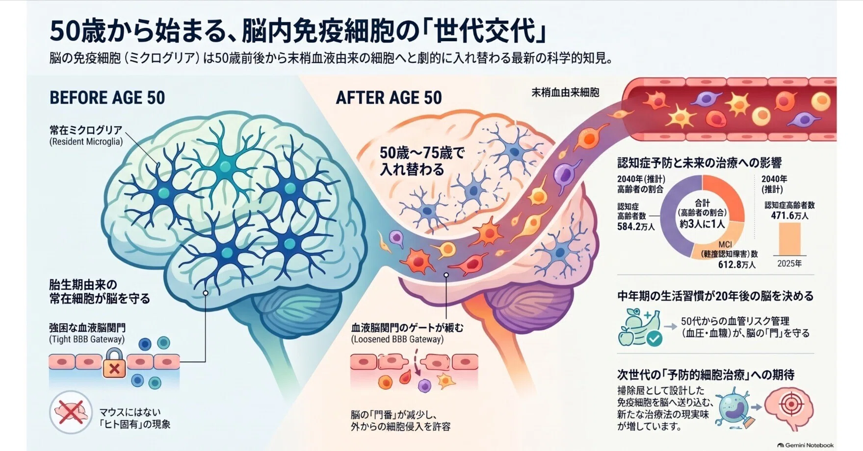 脳活性化！ミミテック 脳活性化！ミミテック 脳活性化！ミミテック 2026年最新】ミミテックの