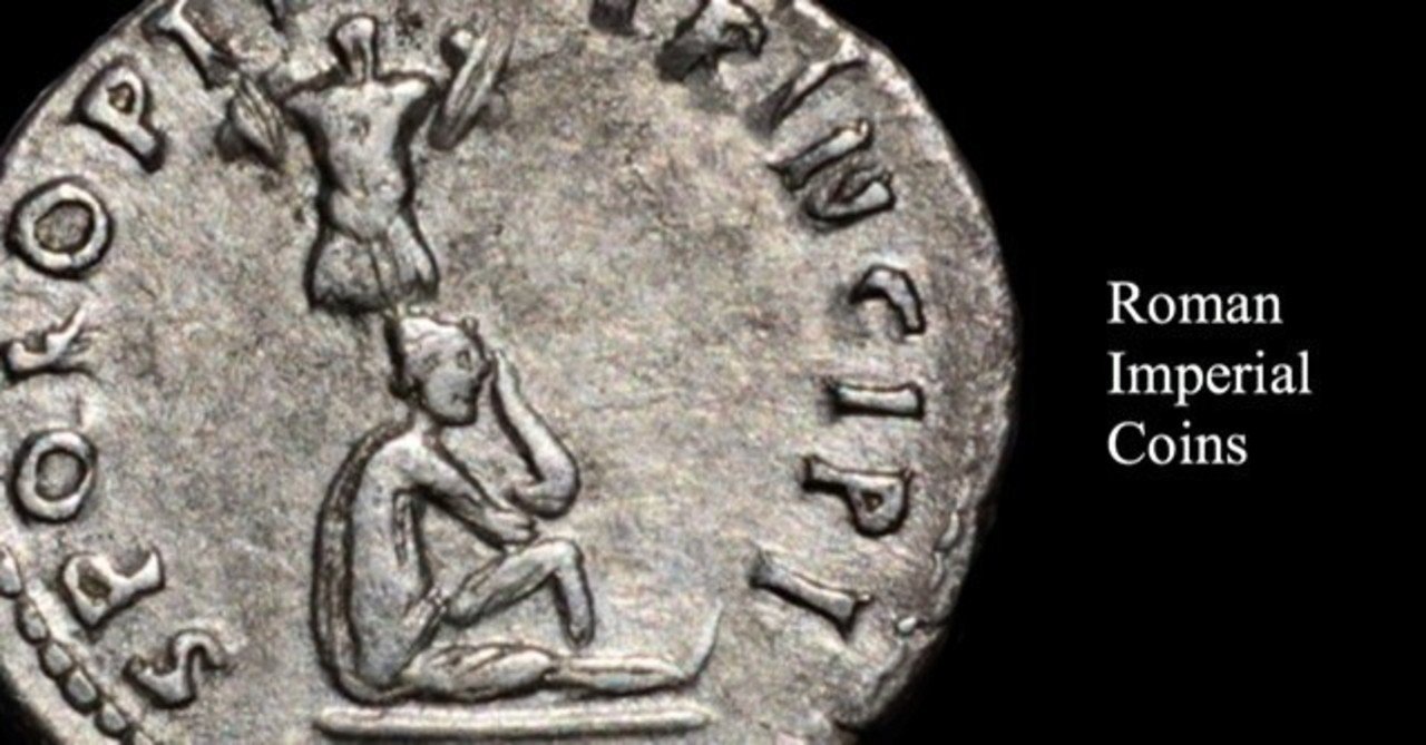 アンティークコインの世界 〜分類番号とは何なのか〜｜Shelk🦋