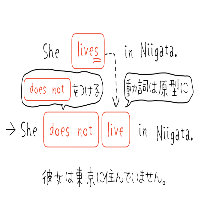 おさらい 三単現の否定文 ほしのや まさる Note