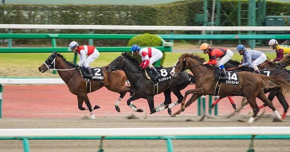 競馬ビギナーと射幸心 空振り三人 Note