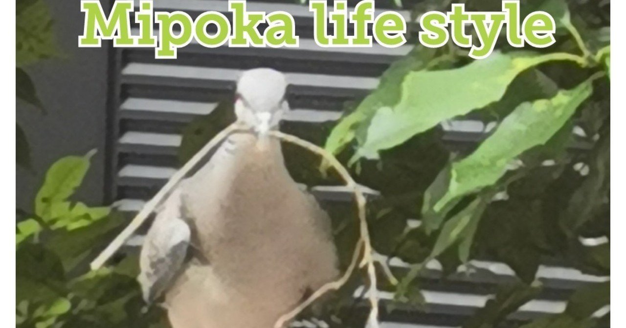 別次元の鳩レース Mipoka Life Style Note