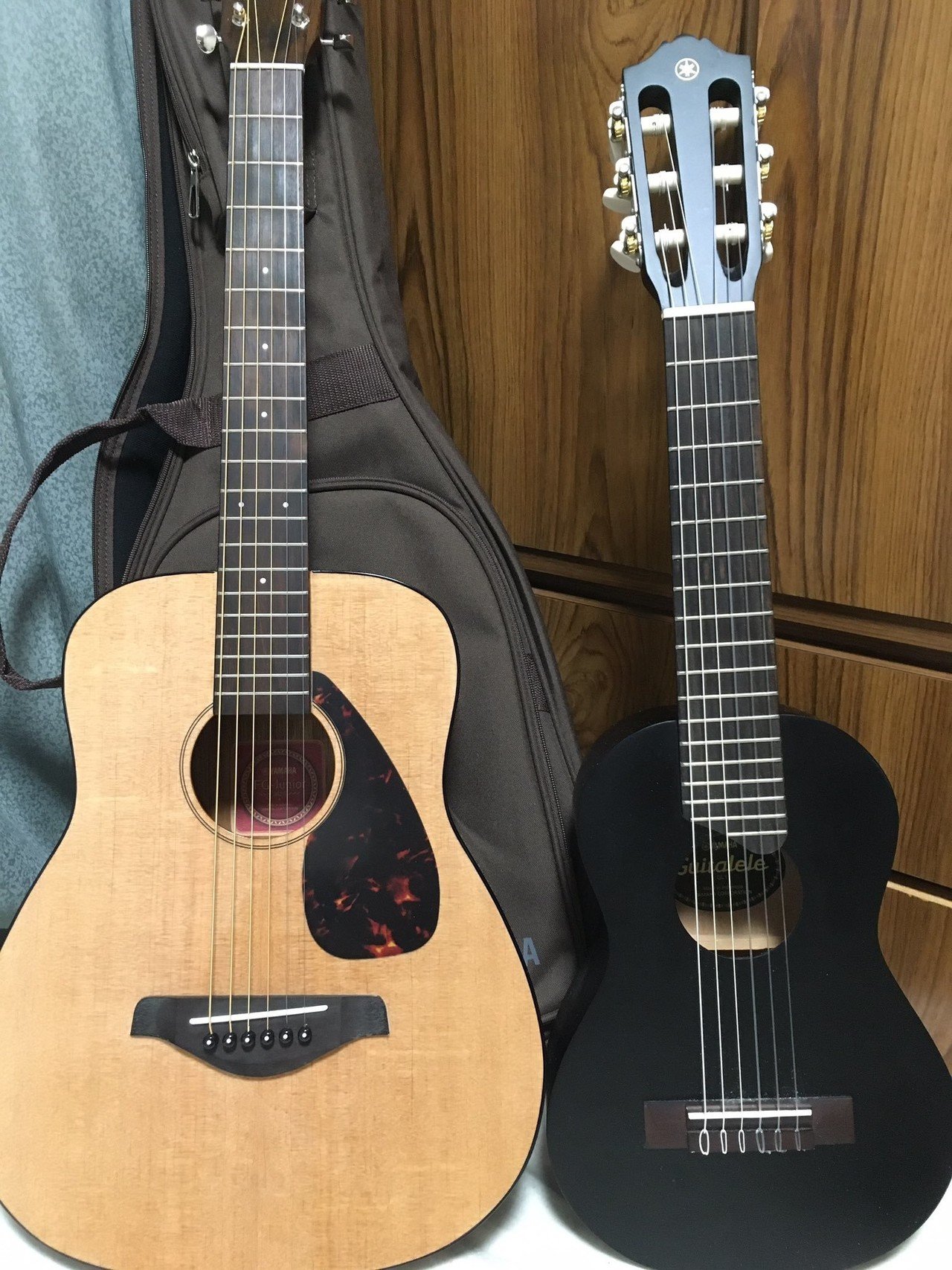 アコースティックミニギター　ギターケース付き　弦2本無し アコースティックミニギター ギターケース付き 弦2本無し Amazon.co.jp