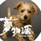 映画『夢物語 The Living Dragon』News