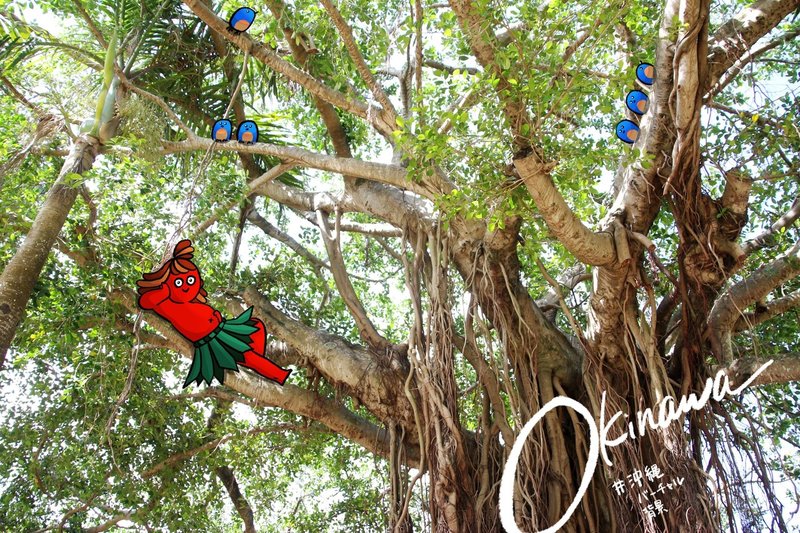 ビデオ会議のおともに 沖縄バーチャル背景 高画質版 はいかがですか Nk Note