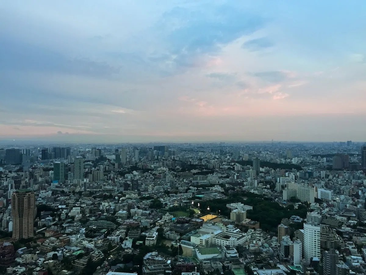 画像7