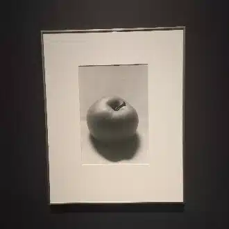 ウィト