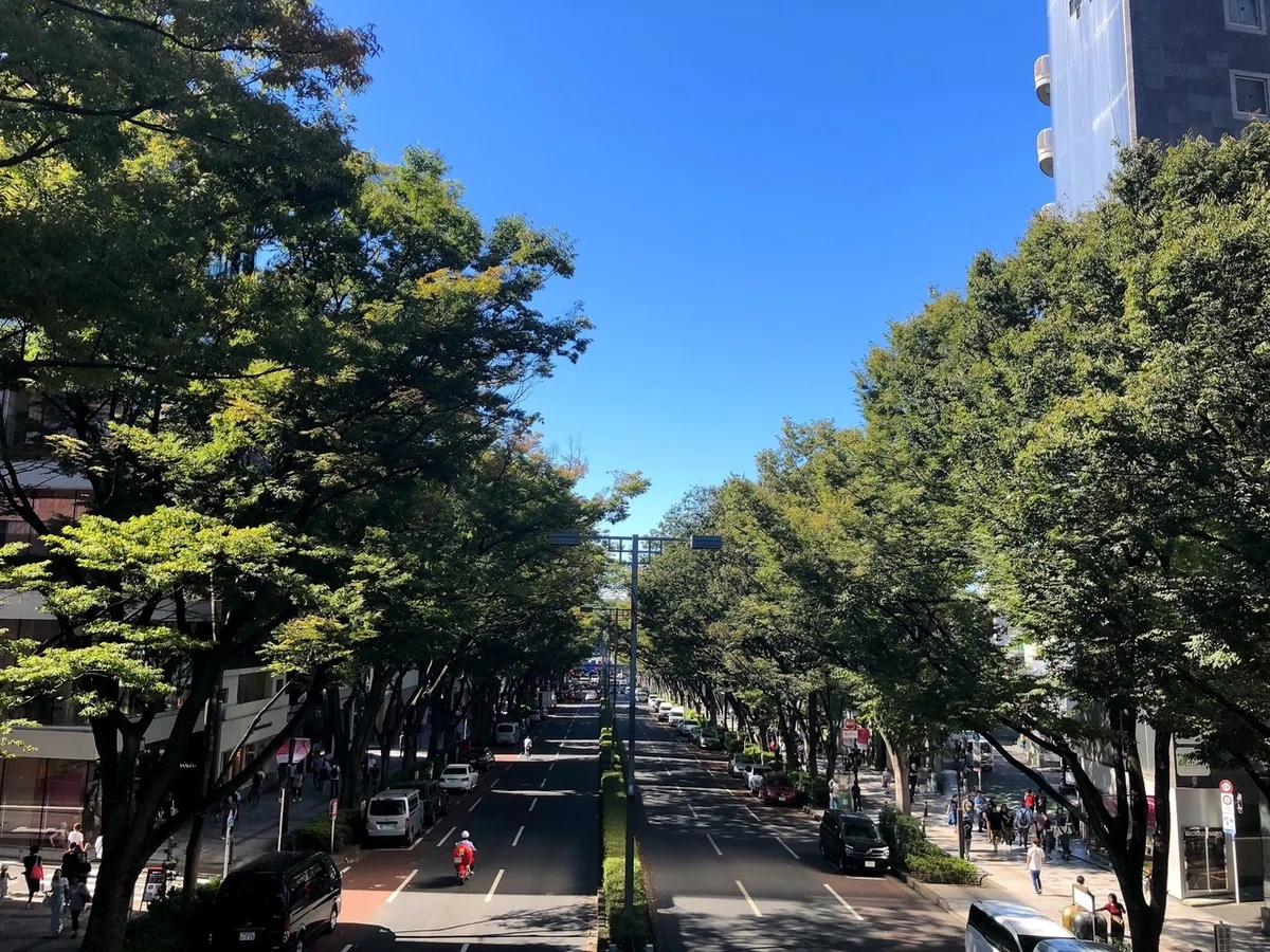 画像14