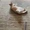 ちーかま