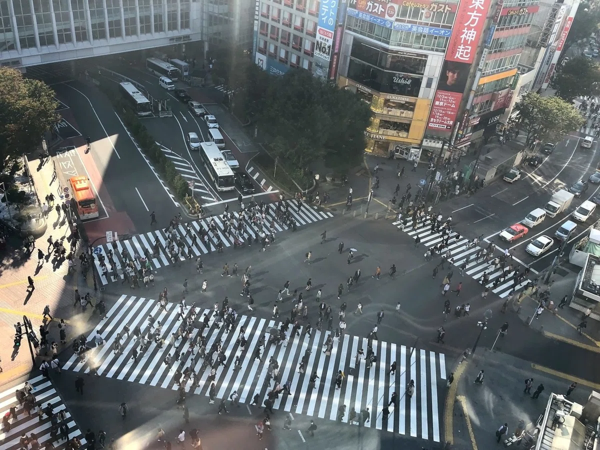 画像16