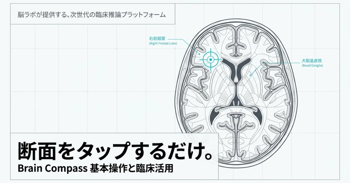 Just tap the cross-section. How to use Brain Compass to instantly check ...