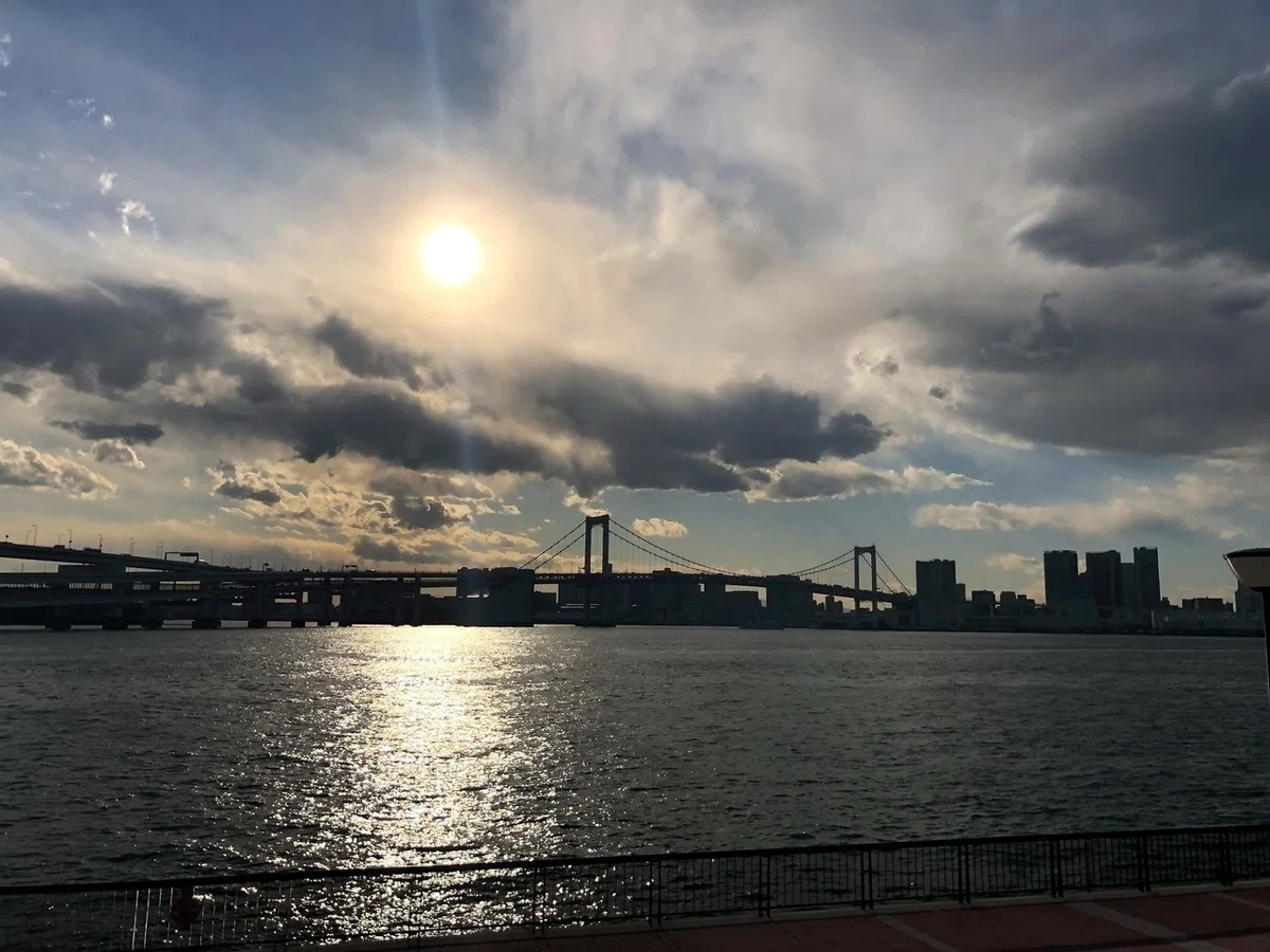 画像24