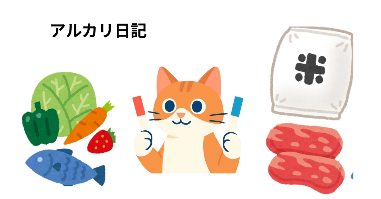 Day17 ネコの宅急便、火の国を駆ける｜aoi