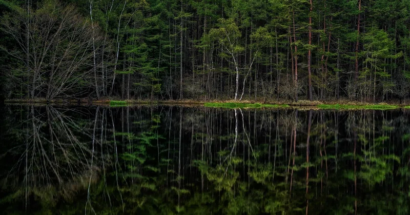 僕が風景写真用レンズを選ぶときに参考にしていること 斎藤 朱門 Shumon Saito Landscape Photographer Note