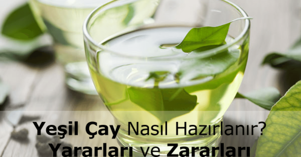 Yesil Cay Nedir Nasil Kullanilir Faydalari Ve Zararlari Nelerdir Begonya Note