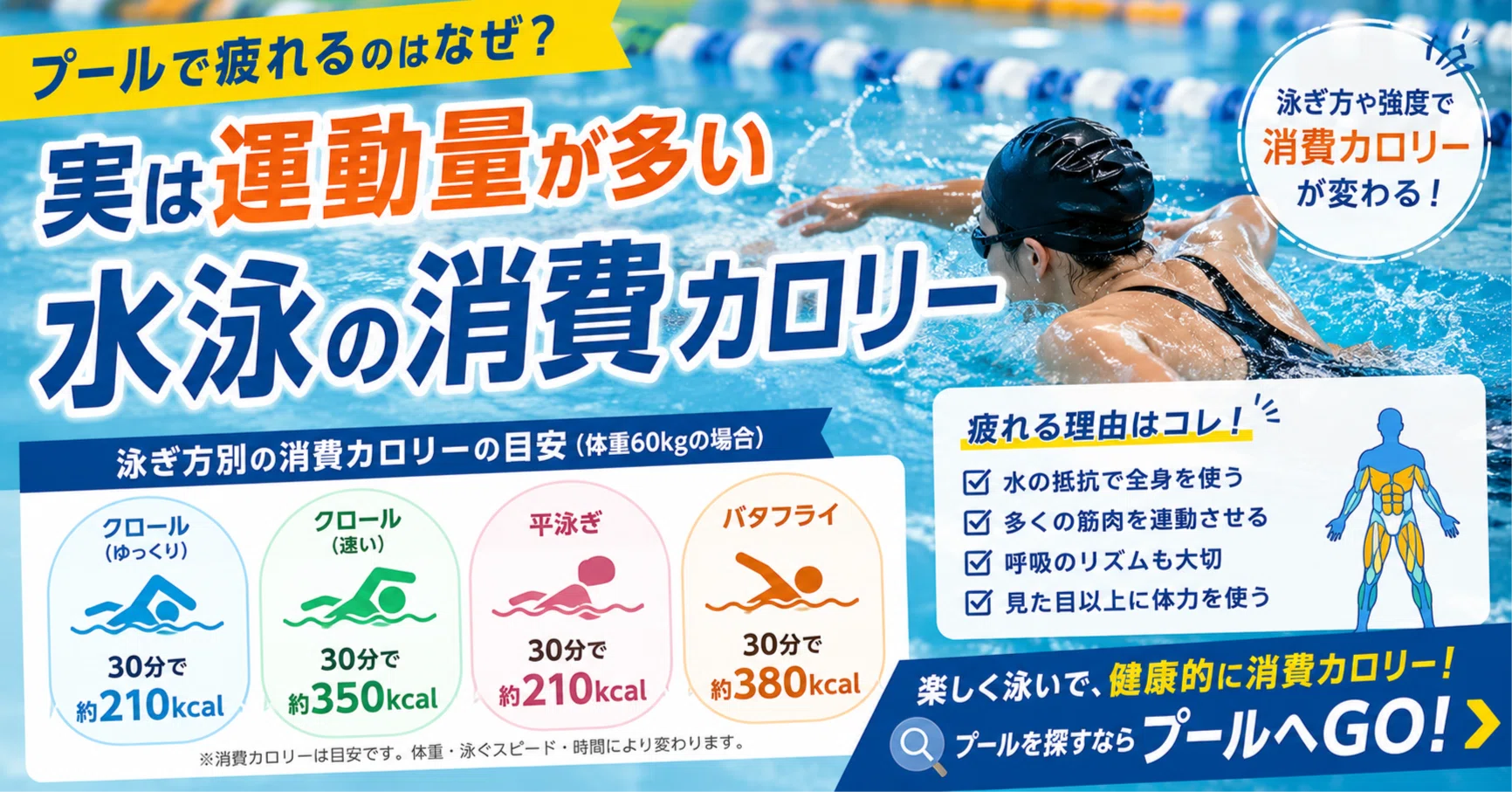 水泳 消費 カロリー
