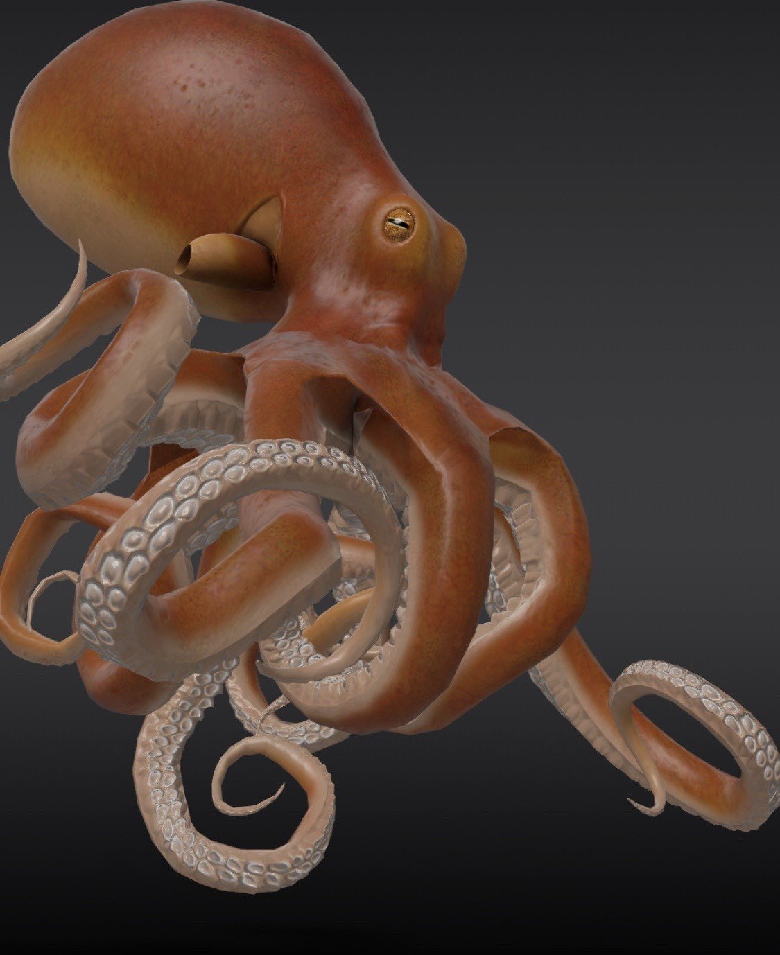 生ダコの刺身美味しい 電子レンジさよなら 年07月11日 いいよ Note